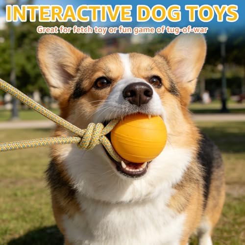 SCENEREAL Floating Dog Pool Toys - Ball on Rope Fetch and Tug-of-War Toy for Medium Large Dogs Outdoor Training, EVA Rubber Water Pet Interactive Toys for Summer Beach, 2 Pack, Orange & Yellow