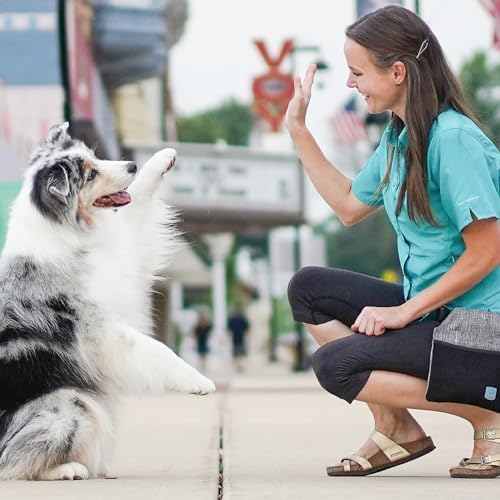 Blue-9 Inspire Dog Training Treat Pouch, Convenient Storage and Easy Access for Treats