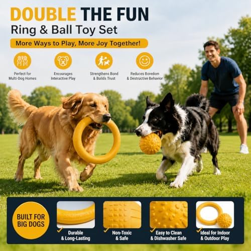 Large Dog Toy Ring and Ball Combo Set, Floating EVA 2 Pack (Yellow, Large)