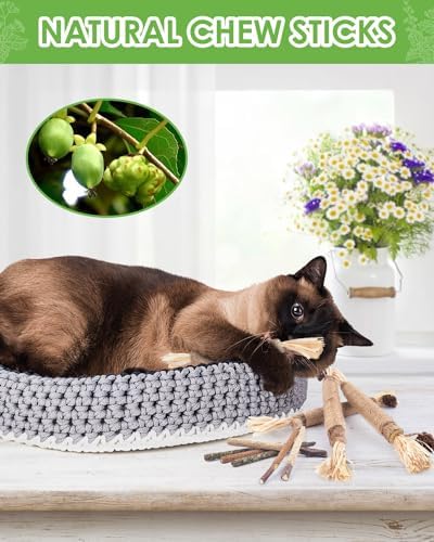 TINDTOP Silvervine Chew Sticks for Cats, 10 Pack Natural Catnip Chew Toys