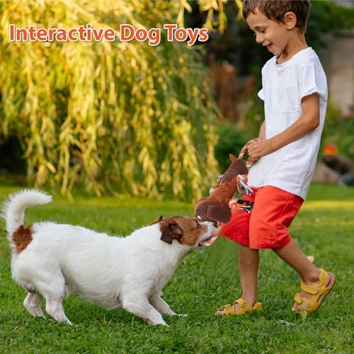 Drmstow Dog Toys for Aggressive Chewers, Squeaky Plush Chew Toy with Crinkle, Interactive Rope Tug of War Toy for Large Dogs to Keep Them Busy