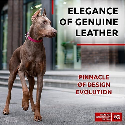 WAUDOG Long Lasting Leather Dog Collar for Large Dogs, Medium & Small Dogs - Adjustable Classic Puppy Collars for Large Breed Dogs - Boy & Girl Dog Collars with Durable Buckle, D-Ring & QR Dog Tag