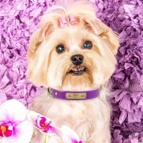 Personalized Genuine Leather Dog Collar with Engraved Name Plate - Durable and Stylish Custom Dog Collar for Small, Medium, and Large Dogs (S,Purple)