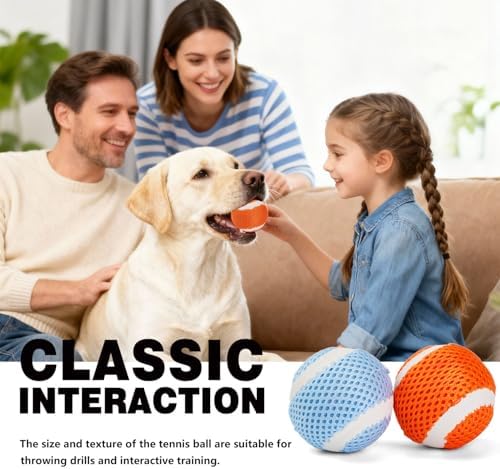 MECOOL Tennis Balls for Dogs 2.5in 20PCS Fetch Interactive Dog Balls Durable Toys for Cleaning Teeth Indoor/Outdoor Playing for Dogs(Blue and Orange)