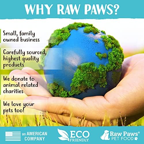 Raw Paws Catnip & Silvervine Lollipops Interactive Cat Toy 6 Pack - Sticks
