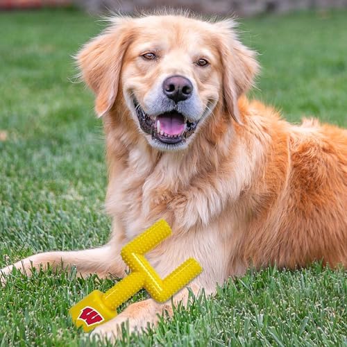 NCAA Wisconsin Badgers Mega-Chew Hard Nylon Bacon-flavored Dog Bone Football Goal-Post Chew Toy. Interactive, Tasty & Fun Dog Chew Toy. Indestructible, Strong, Tough & Durable Pet Chew Toys