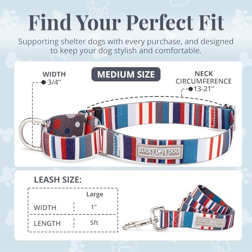 Lucky Love Dog Martingale Collar & Leash Set No Slip Cute – Linus, Medium
