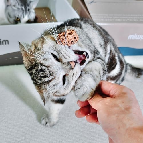 miwoowim 4PCS Silvervine Cat Sticks & Gall Fruit, Natural Dental Chew Toy