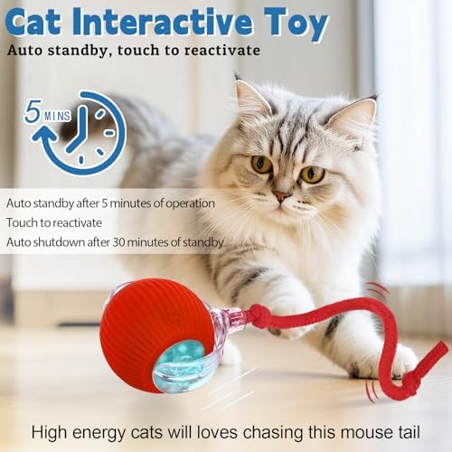 Interactive cat Toys for Indoor Cats, Speedy Tail 3.0 Cat Toy, Motion Activate cat Toy Ball，Automatic Toys for Bored Indoor Cats, Speedy Tail 2.0 Cat Toy, Rechargeabl