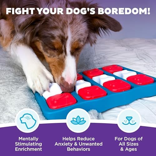 Outward Hound Nina Ottosson Dog Brick Dog Toy Treat Puzzle, 12.8"