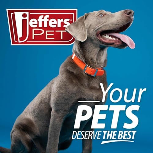 Jeffers Pet Thinnies, 21" | Unstuffed with Squeaker and Rope | Raccoon