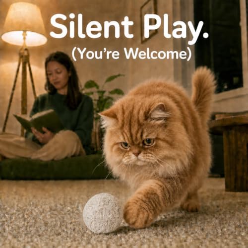 Balls for Cats - Felt Wool Cat Toy Balls for Small Pet Fetch and Play - Eco Friendly Quiet Wool Ball Cat Toy for Cats and Kittens - Choose Your Colors (White)