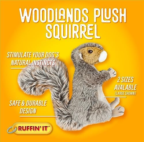 RUFFIN' IT Woodlands, Plush Squirrel, 8 in Squeaky Soft Stuffed, Dog Toy