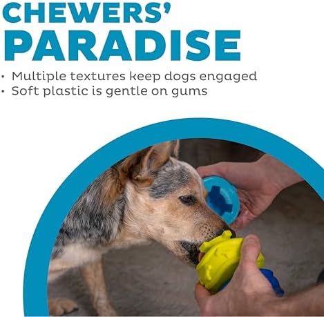 Outward Hound Treat Locking Discs Dog Treat Dispenser Puzzle Toy