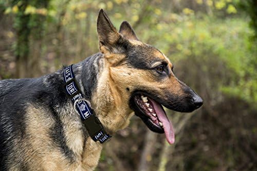 NHL Toronto Maple Leafs Collar for Dogs & Cats, Large. - Adjustable, Cute & Stylish! The Ultimate Hockey Fan Collar!