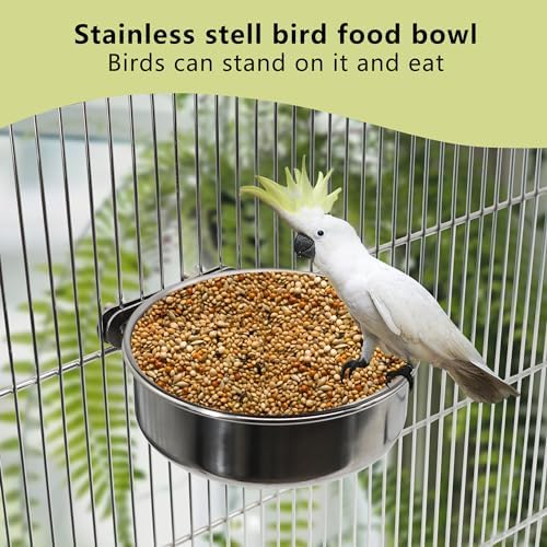 Bird Feeding Dish Cups, Stainless Steel, 2 Pack, Medium