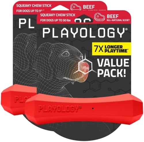 Playology Squeaky Chew Stick - Scented Dog Toy - Medium, Beef Scent, 2-pk