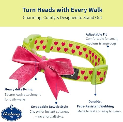 Blueberry Pet Adjustable Flocking Dog Collar with Detachable Velvety Bowtie - Heart in Gothic Grape