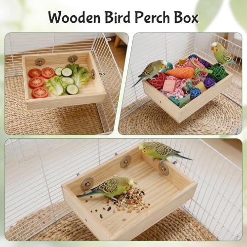 Bird Foraging Toys Box, Wooden Foraging for Birds, Colorful, M