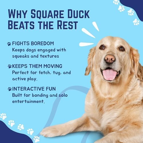 Happy Tails Square Duck Dog Toy - Medium to Large Dogs, Durable Polyester, Squeaky Sound, Reinforced Stitching, Safe Chew Toy, Interactive Play