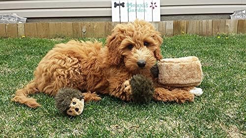 ZippyPaws Burrow Replacement Miniz Squeaky Toy for Enrichment - Hedgehogs