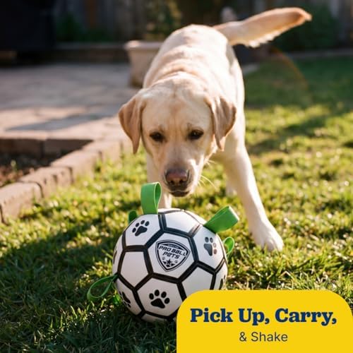 Interactive Dog Soccer Ball for Dogs, 7” with Straps & Grab Tabs, Floats on Water, Fetch & Training Toy for Small/Medium Dogs, Herding Breeds, Waterproof Non-Toxic – ProBall Pets – White Green