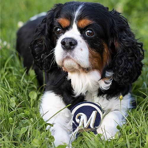 Pets First MLB Milwaukee Brewers Tennis Balls for Dogs & Cats - 2 Piece Set with Team Logo in Vibrant Team Color