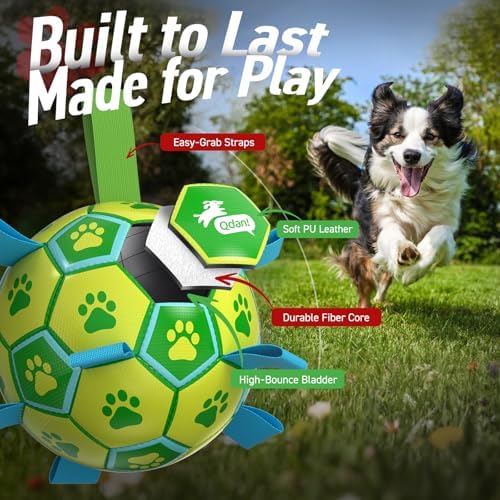 QDAN Dog Toys Soccer Ball, Durable Dog Balls with Strap for 30-90 lbs Dogs | 8 Inch Soccer Toy with Tabs, Training Herding Balls for Outdoor, Dog Tug Toy for Tug of War, Puppy Birthday Gifts, Green