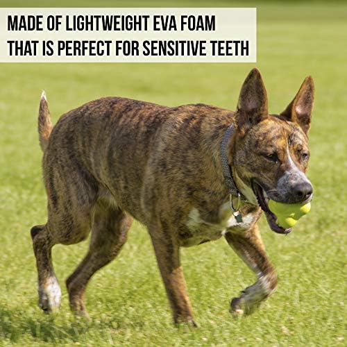 Hyper Pet Fetching Dog Toys - Throwing Bumpy Ball Dog Toy Made with EVA Foam - Lightweight & Floats on Water