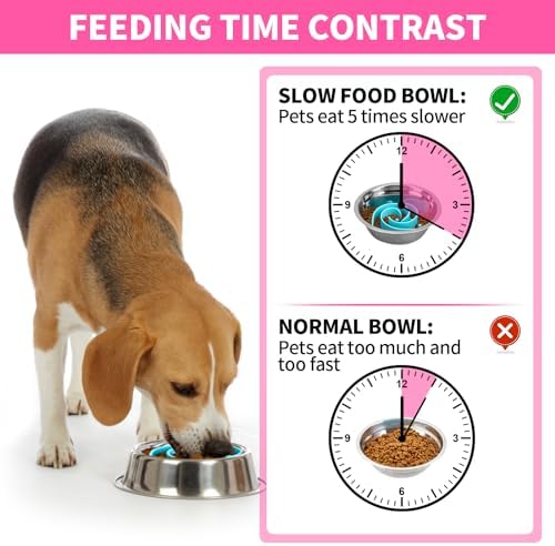Slow Feeder Dog Bowls Insert, Bestalk Soft Silicone Slow Eating Feeder Insert with Suction Cups for Small, Medium and Large Dogs, Fit into Basic and Elevated Dog Bowls, Teal