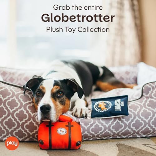P.L.A.Y. PET LIFESTYLE AND YOU P.L.A.Y. Plush Dog Toys - Globetrotter Travel Themed Durable Squeaker Chew Toy for Puppies Dogs - Machine Washable, Recycled Materials (Lens Licker Camera)