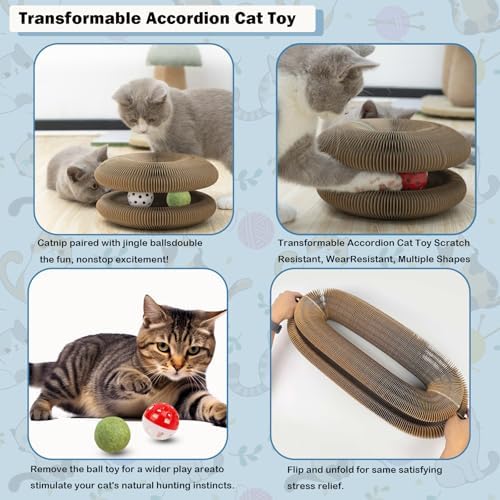 Ultimate Interactive Mental & Physical Exercise Kitten Toys for Indoor Cats Scratcher Toy Magic Organ Cat Toy with Ball Kitty Kurlz Stimulating Cat Toys Interactive Shape Shifting Catnip Toy