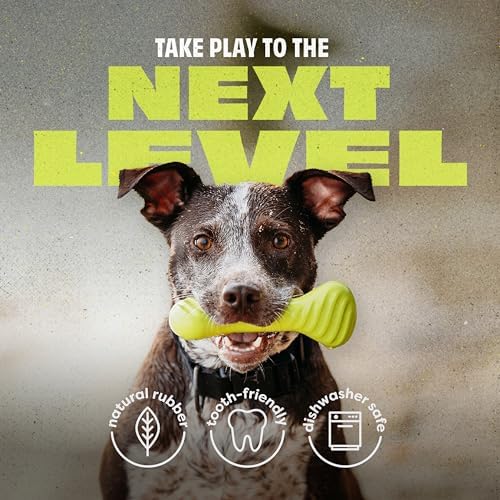 Benebone Natural Rubber Dog Bone Chew Toy, Small | Natural Rubber, Tough But Gentle, Easy-Grip Design, Great for Fetch, Dishwasher Safe, Dog Bones, Long-Lasting
