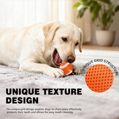 MECOOL Tennis Balls for Dogs 2.5in 20PCS Fetch Interactive Dog Balls Durable Toys for Cleaning Teeth Indoor/Outdoor Playing for Dogs(Blue and Orange)