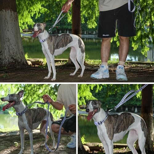AirTag Dog Collar, Reflective Nylon, Metal Buckle, IP68, Dog Collar with AirTag Holder, Heavy Duty Dog Collars for Large Medium Small Dogs (Lavender Purple, M：Width 1",Neck 13.4"-18.9")