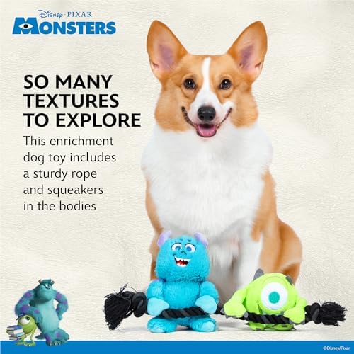 Disney for Pets Pixar Monsters Inc Sulley and Mike Hanging Rope Dog Toy