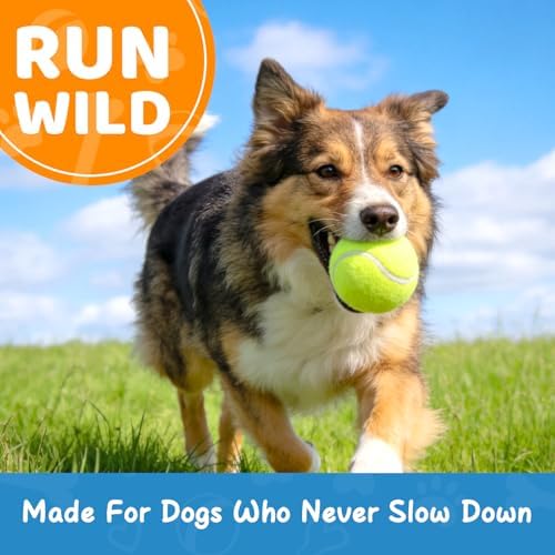 Tennis Balls for Dog 2.5'' Durable Non-Toxic Outdoor Dog Toys Balls with Mesh Bag,Colorful Fetch Toys Balls for Medium Dog (Non Squeaky)