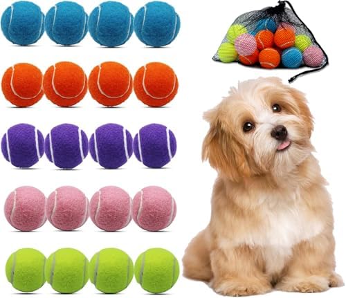 Magicorange Small Tennis Balls, 20 Pack 2 inch Tennis Balls for Dogs