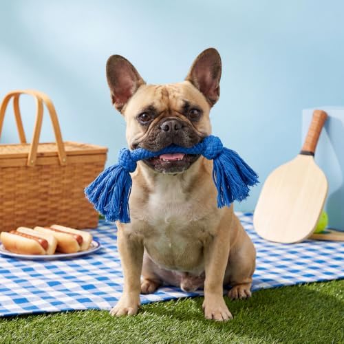 Playology Tug Rope Dog Toys for Small Breed Dogs - Small, Hot Dog Scent
