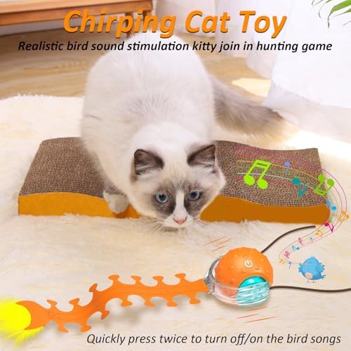 Waaiio Interactive Cat Toy with Centipede Tail,Fast Rolling Ball, Rechargeable Toys for Bored Indoor Adult Cats, Touch Activated/Rechargeable/Bird Chirping Squeaky