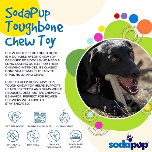 SodaPup Tough Bone – Durable Nylon Dog Chew Toy Made in USA from Non Toxic Pet Safe Food Safe Material for Aggressive Chewers, Dental Support, Mental Stimulation, Fresh Breath, & Problem Chewing