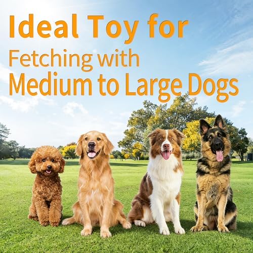 Dog Flying Disc, 2 Pack Dog Frisbee Toy Gift Set for Medium & Large Dogs