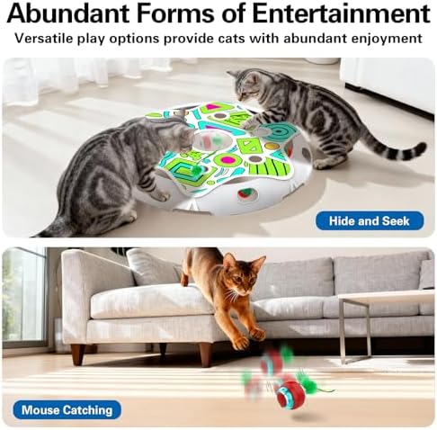 Sofolor Interactive Cat Toy, Exercise Cat Toys for Indoor Bored Adult Cats