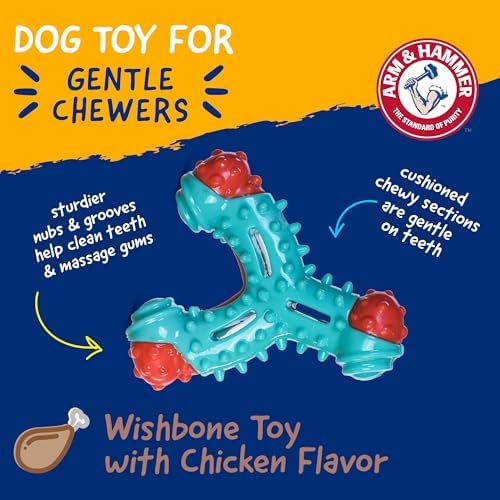 Arm & Hammer Nubbies Wishbone Dental Dog Chew Toy, Chicken Flavor