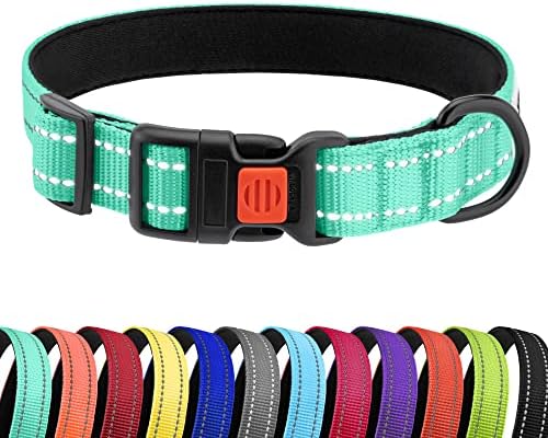 Reflective Dog Collar, Quick-Release Buckle (Mint Green, 10-13 Inch)