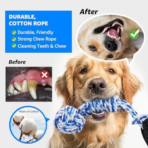 LOOBANI Outdoor Bungee Tug Toy, Interactive Dog Door/Tree Hanging Toys