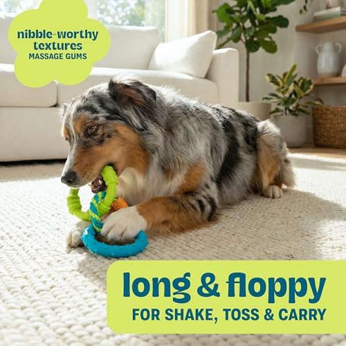 Pupstages Dental Links Dog Chew Toy, Textured Rings & Woven Rope, 8.5"