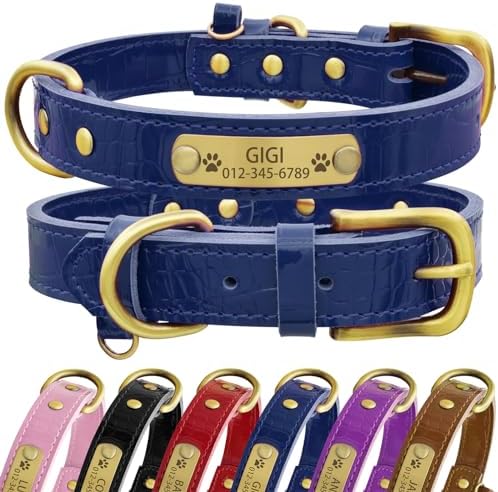 Personalized Genuine Leather Dog Collar with Engraved Name Plate - Durable and Stylish Custom Dog Collar for Small, Medium, and Large Dogs (M,Blue)