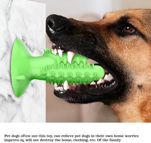 lilaBelle]【Cactus Dog Toy New Dental Stick for Dogs - Teeth Cleaning & Stress Relief Chew with Sound, Treat Dispenser, TPR Safe Material, Sizes Dogs, Home/Park/Garden (Saudi Pets)