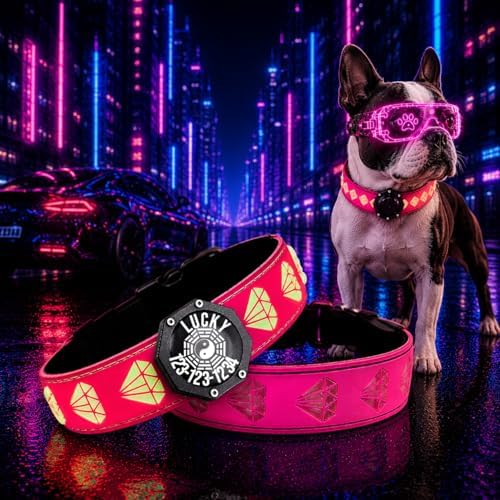 Light Up Glow Dog Collar with AirTag Holder, 15 Color Modes,